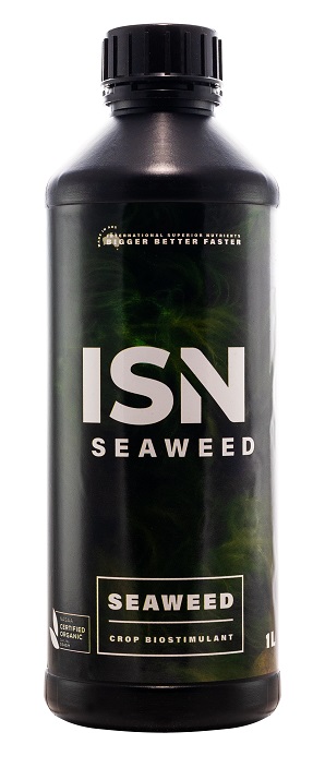 1l-seaweed.jpg